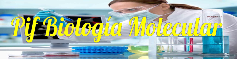 pifbiomolecular.milaulas.com